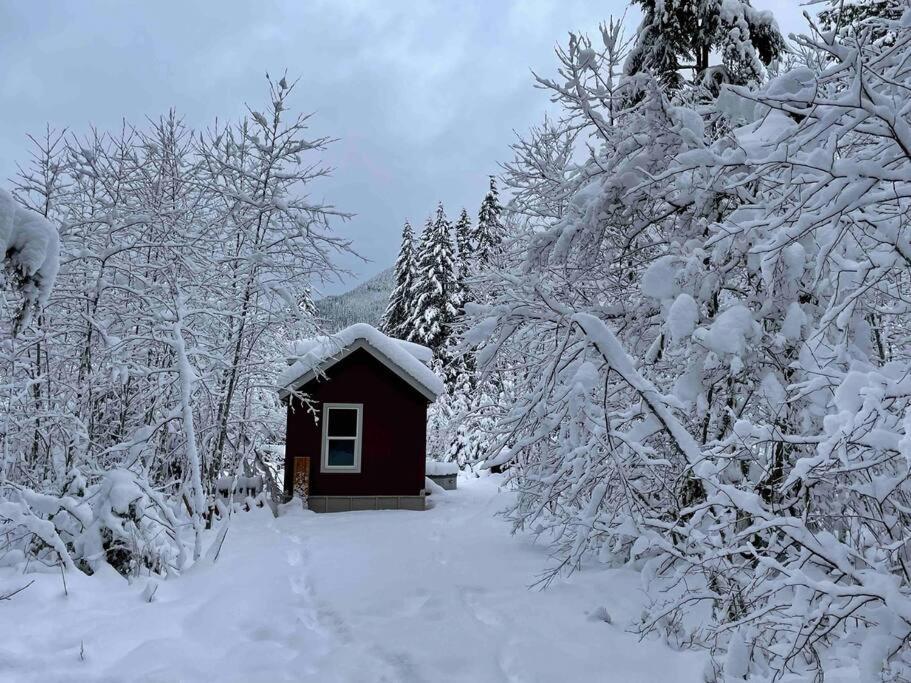 Cozy Tiny Home Steps Away From Mt. Rainier Эшфорд Экстерьер фото