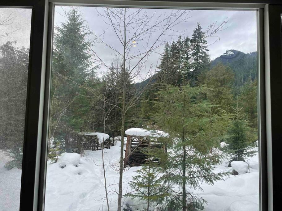 Cozy Tiny Home Steps Away From Mt. Rainier Эшфорд Экстерьер фото